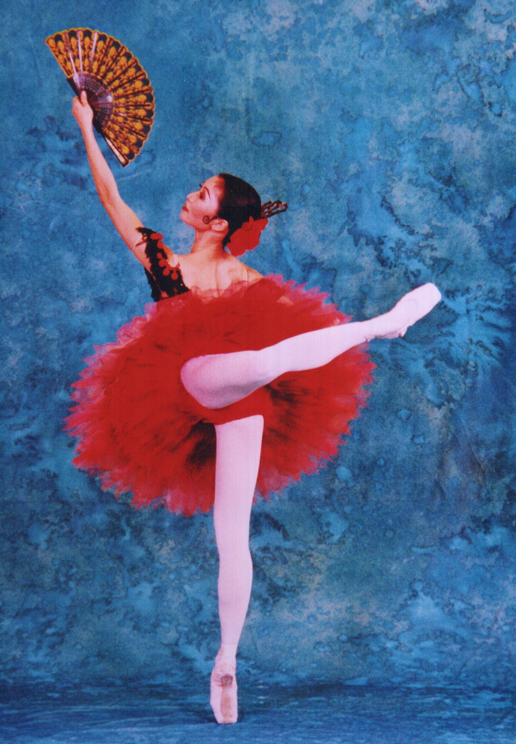 Ballet dancer: Swan Lake